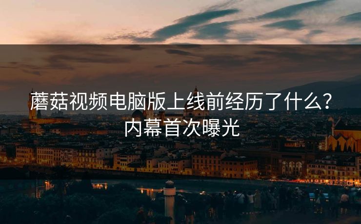 蘑菇视频电脑版上线前经历了什么？内幕首次曝光