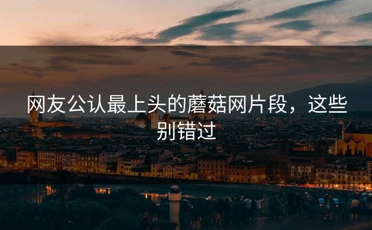 网友公认最上头的蘑菇网片段，这些别错过