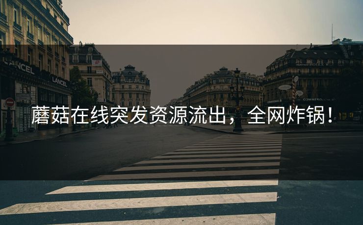 蘑菇在线突发资源流出，全网炸锅！
