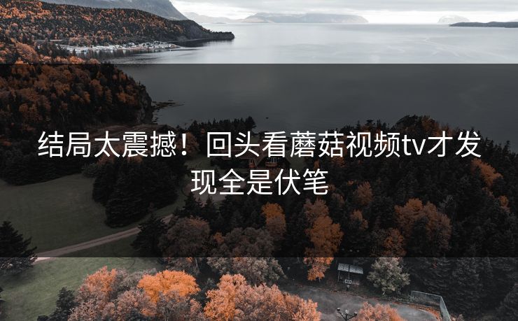 结局太震撼！回头看蘑菇视频tv才发现全是伏笔