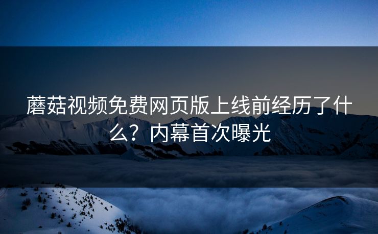 蘑菇视频免费网页版上线前经历了什么？内幕首次曝光