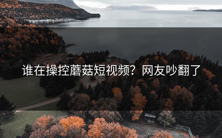 谁在操控蘑菇短视频？网友吵翻了