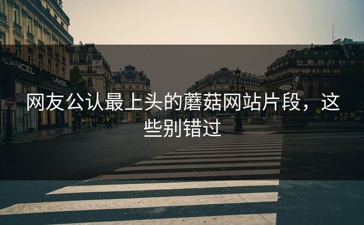 网友公认最上头的蘑菇网站片段，这些别错过