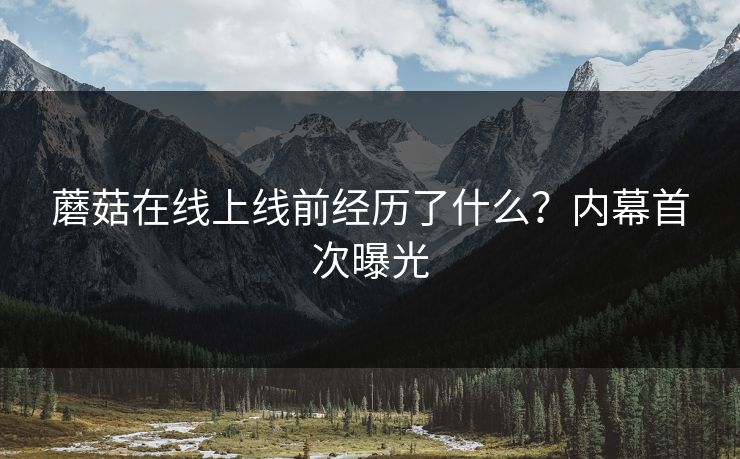蘑菇在线上线前经历了什么？内幕首次曝光