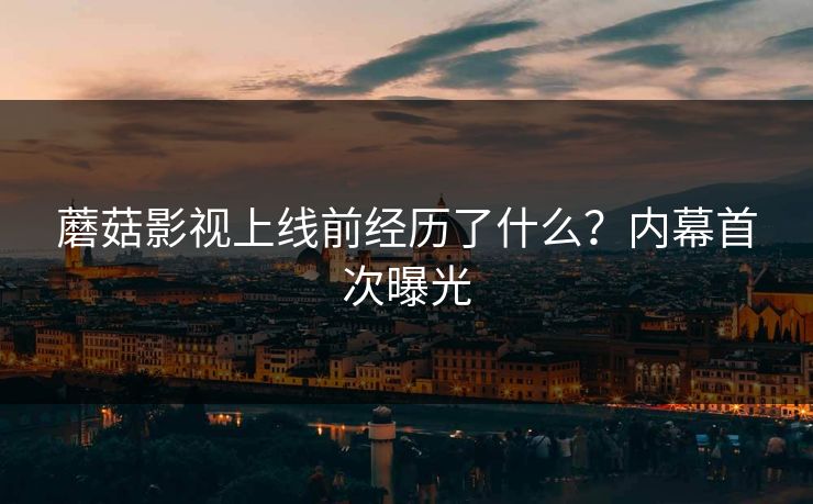 蘑菇影视上线前经历了什么？内幕首次曝光