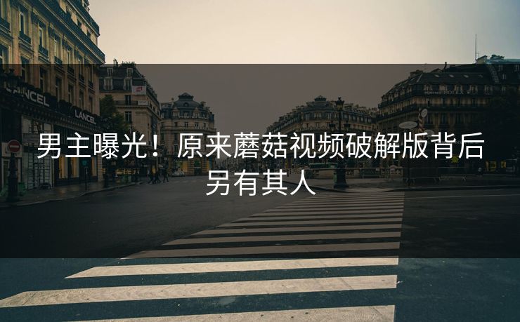 男主曝光！原来蘑菇视频破解版背后另有其人