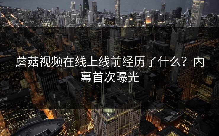 蘑菇视频在线上线前经历了什么？内幕首次曝光