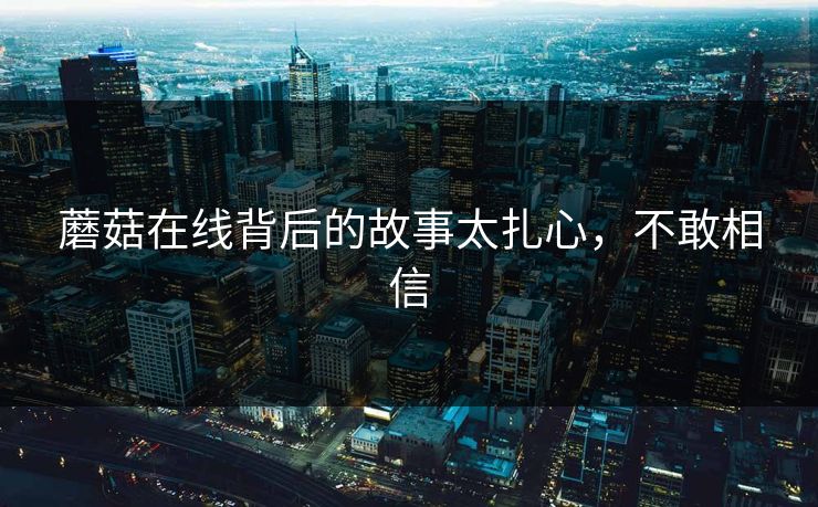 蘑菇在线背后的故事太扎心，不敢相信