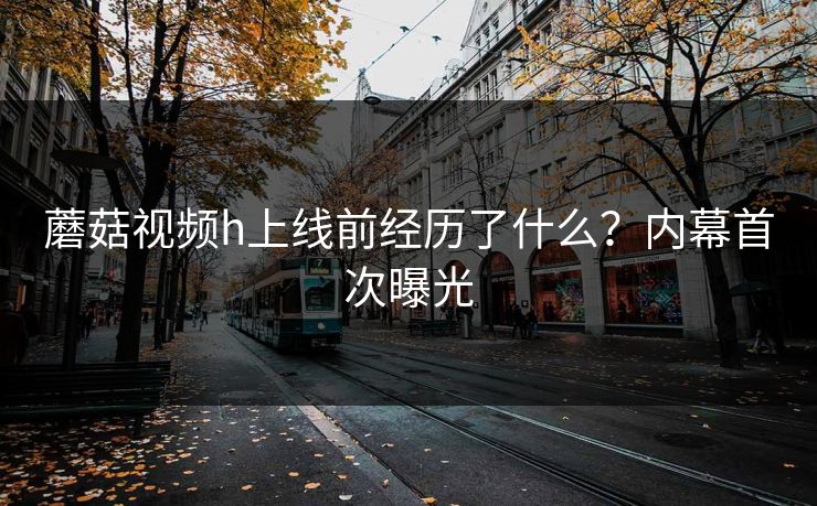 蘑菇视频h上线前经历了什么？内幕首次曝光