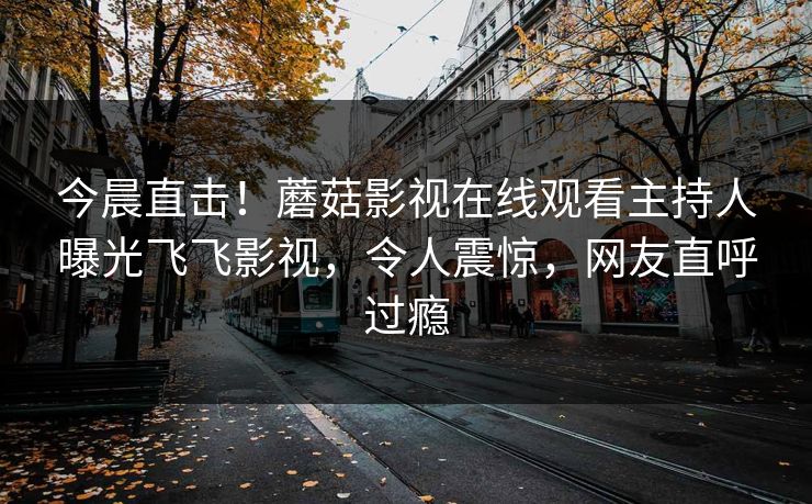 今晨直击！蘑菇影视在线观看主持人曝光飞飞影视，令人震惊，网友直呼过瘾