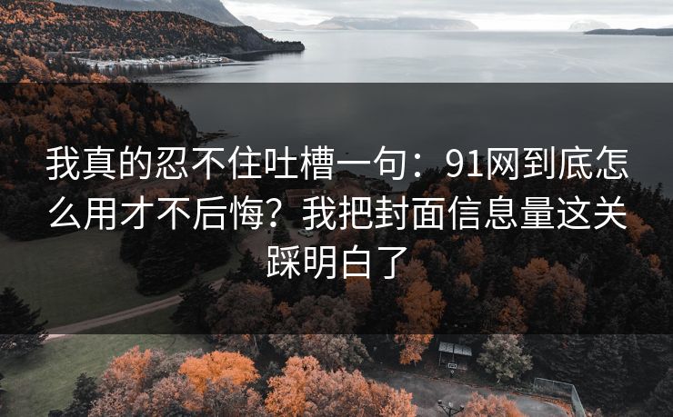 我真的忍不住吐槽一句：91网到底怎么用才不后悔？我把封面信息量这关踩明白了